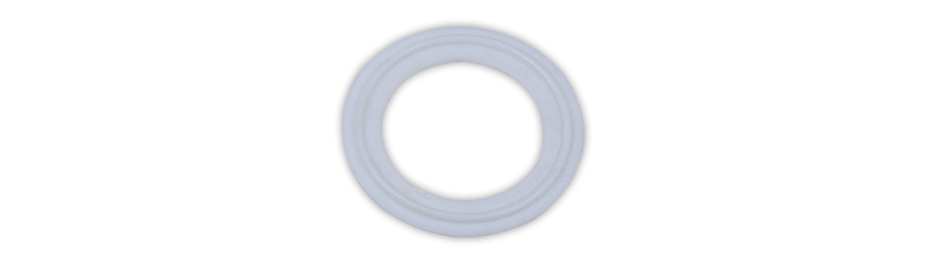 Sanitary Gaskets