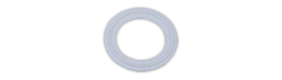 Sanitary Gaskets