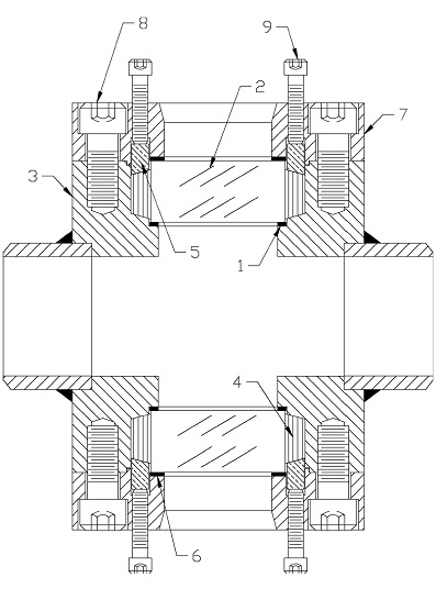 Model B Safesite Sight Flow Indicator Assembly