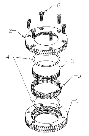 Model L Weld Sight Glass Assembly